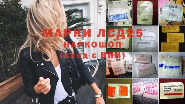 ПСИЛОЦИБИНОВЫЕ ГРИБЫ Горно-Алтайск