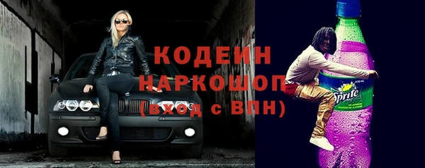 ПСИЛОЦИБИНОВЫЕ ГРИБЫ Горно-Алтайск