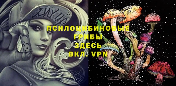 ПСИЛОЦИБИНОВЫЕ ГРИБЫ Горно-Алтайск