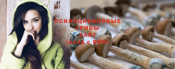 каннабис Горнозаводск