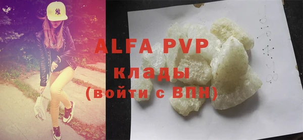 ПСИЛОЦИБИНОВЫЕ ГРИБЫ Горно-Алтайск