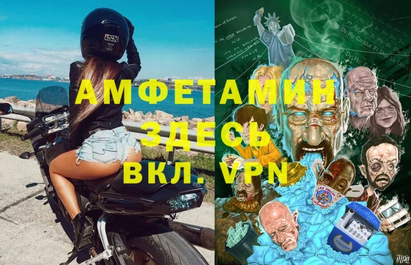 ПСИЛОЦИБИНОВЫЕ ГРИБЫ Горно-Алтайск