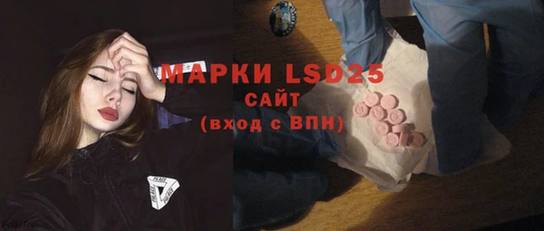 ПСИЛОЦИБИНОВЫЕ ГРИБЫ Горно-Алтайск