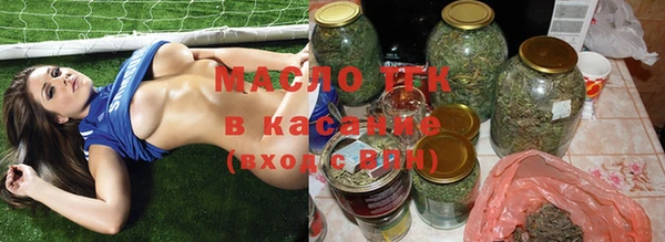 ПСИЛОЦИБИНОВЫЕ ГРИБЫ Горно-Алтайск