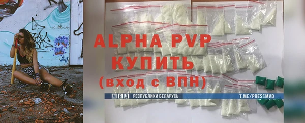 ПСИЛОЦИБИНОВЫЕ ГРИБЫ Горно-Алтайск