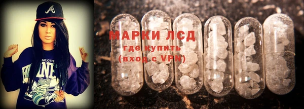 ПСИЛОЦИБИНОВЫЕ ГРИБЫ Горно-Алтайск
