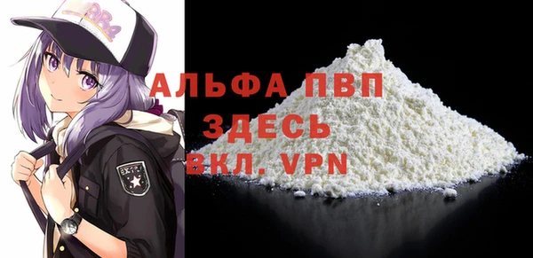 гидра Гусев
