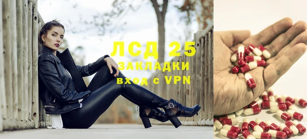 ПСИЛОЦИБИНОВЫЕ ГРИБЫ Горно-Алтайск