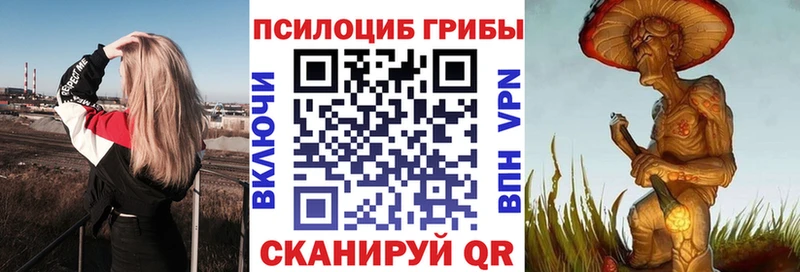 где найти   Спас-Клепики  MEGA рабочий сайт  Галлюциногенные грибы Cubensis 